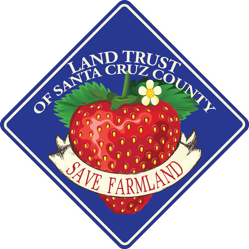Strawberry Clipart (800x800), Png Download