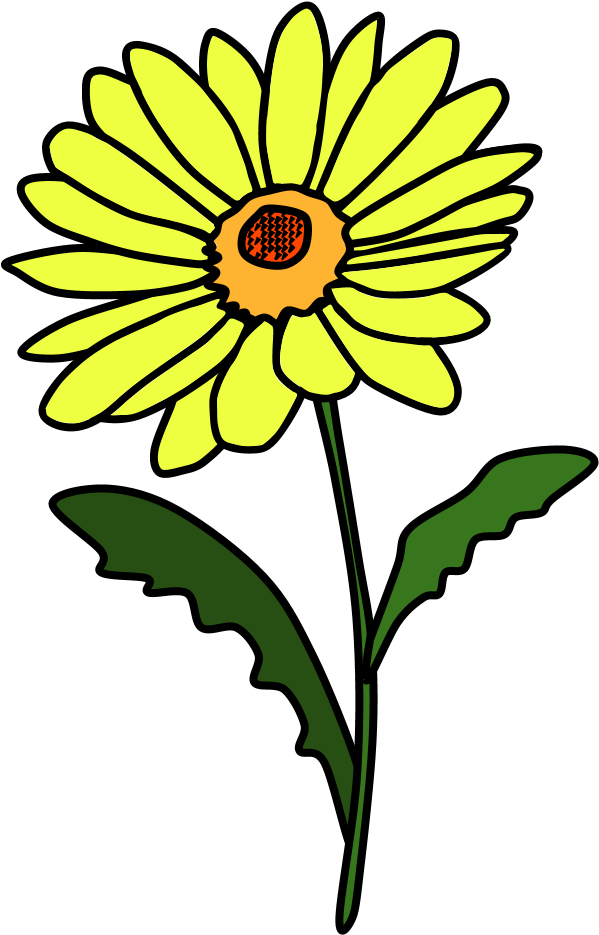 Daisy, Petals, Yellow, Png - Green Clipart (816x1056), Png Download