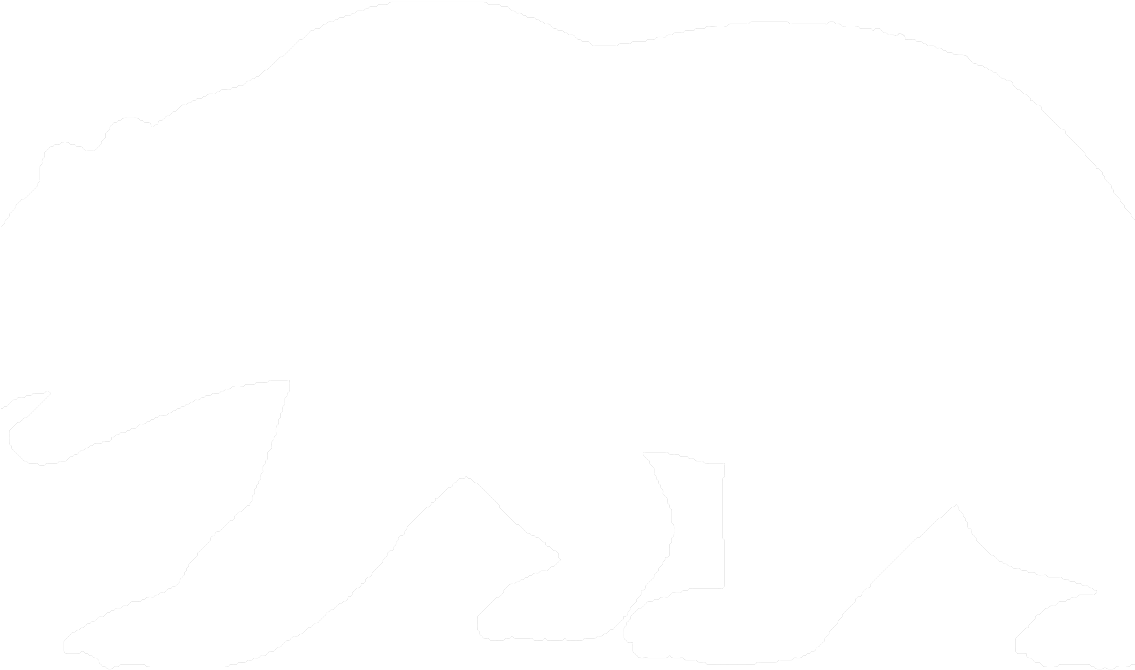 Bear Only White Clipart (1134x742), Png Download