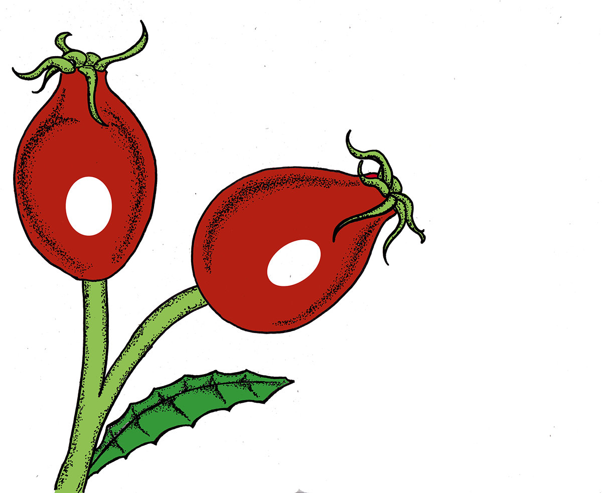 Other Ideas Of The Logo Composition Were Including Clipart (1200x983), Png Download