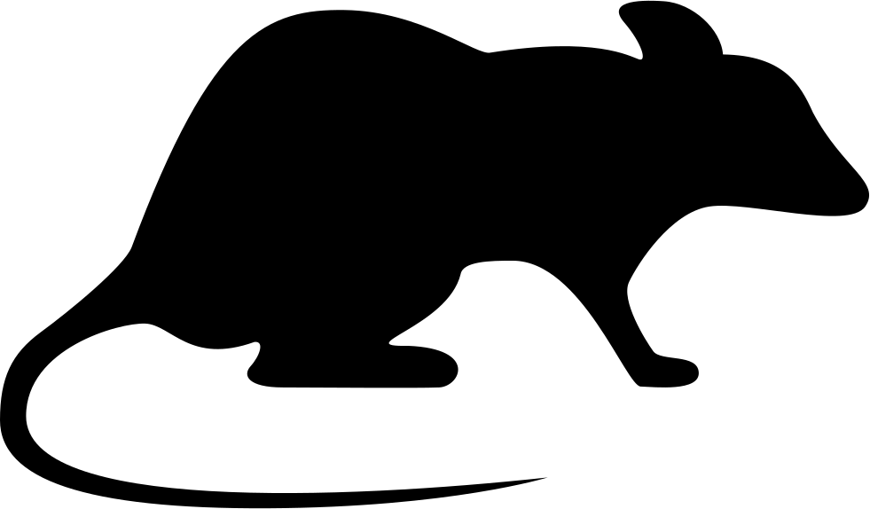 Png File - Rat Icon Png Clipart (981x574), Png Download