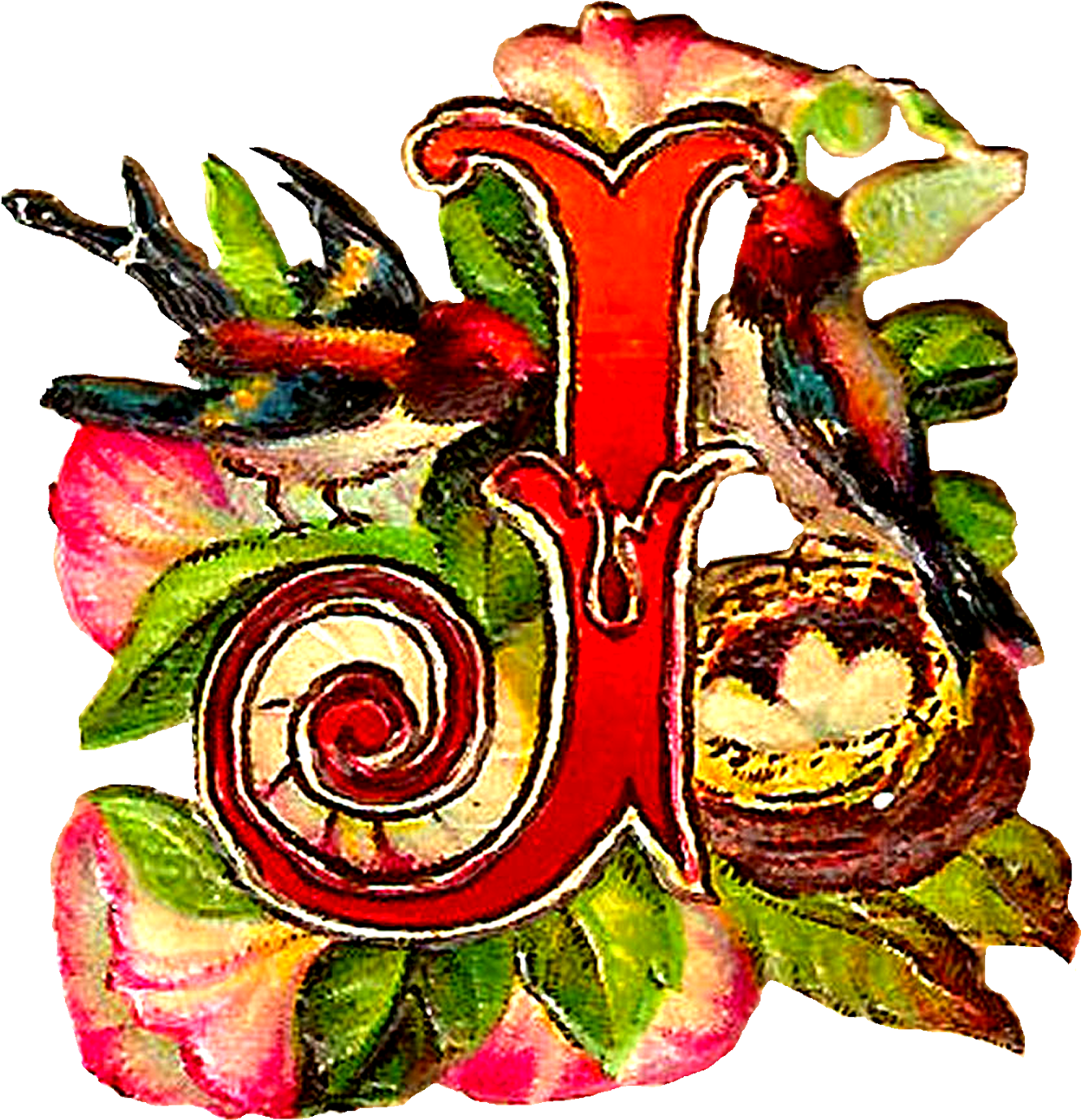 Drop Cap Digital Clip Art - Illustration - Png Download (1600x1592), Png Download