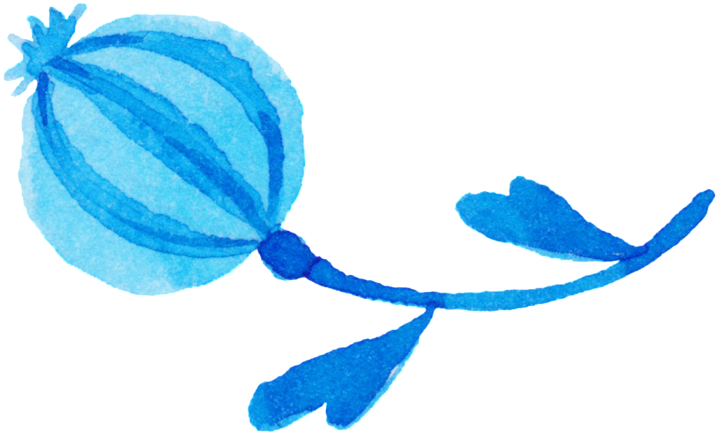 Brush Painting Poppies Decorative Clipart (1024x620), Png Download