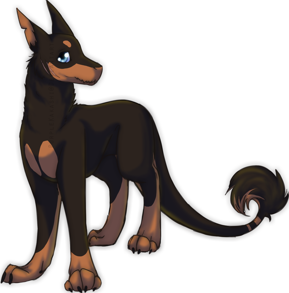Great Dane Sized - Dobermann Clipart (945x959), Png Download