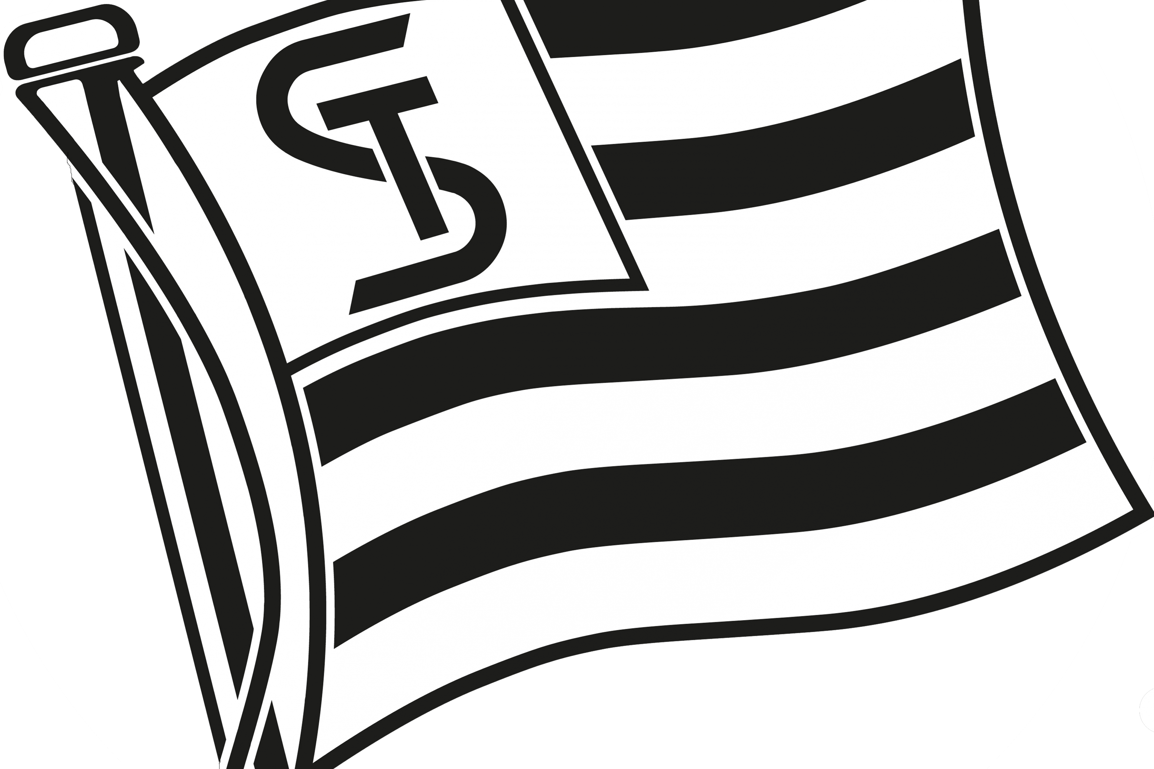 Schwoaze Helfen Verein Zur Koordination Der Spenden - Sturm Graz Logo Png Clipart (4723x3149), Png Download