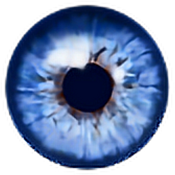 Eye Human Egg Blue Auge Aug Picsart Eyes Eyeart Eyesclo - Transparent Anime Blue Eyes Clipart (1024x1024), Png Download