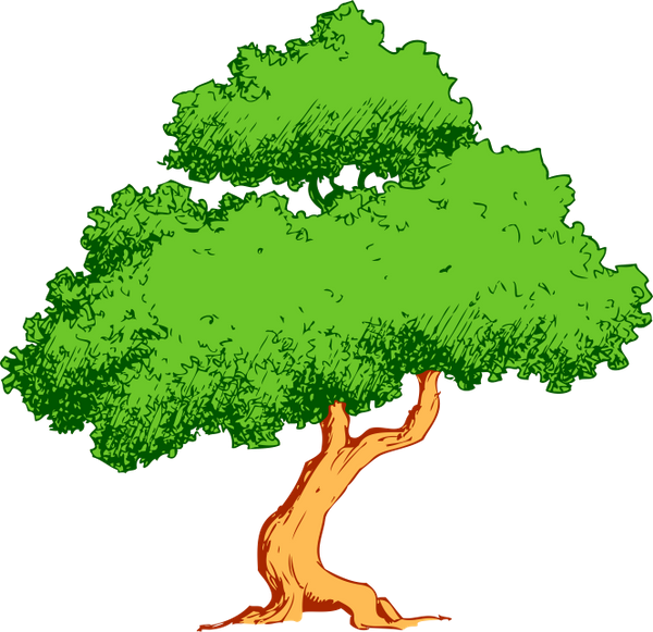 Лиственное Дерево, Зеленое Растение, Природа, Deciduous - Green Cover Arboricultura Clipart (600x581), Png Download