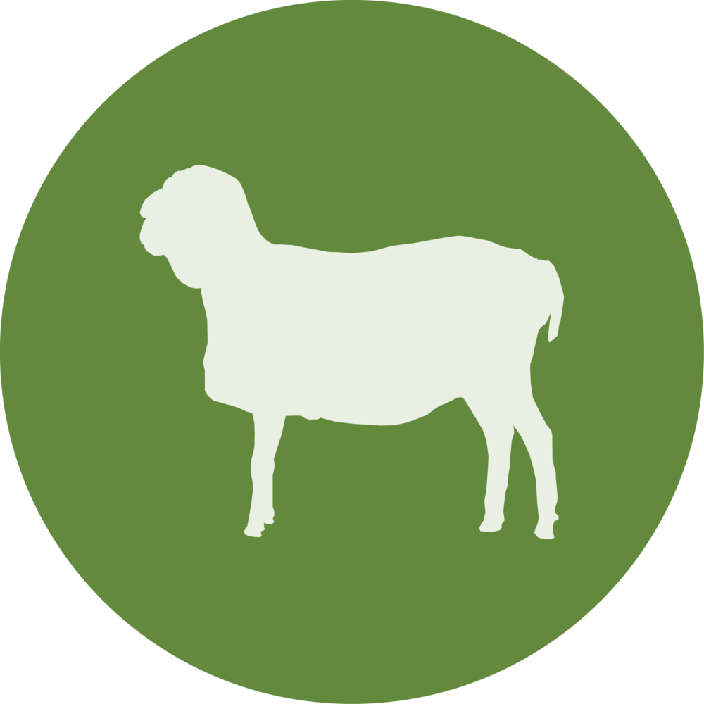 Schwarzkopf Schaf - Ville De Saint Etienne Clipart (1000x1000), Png Download