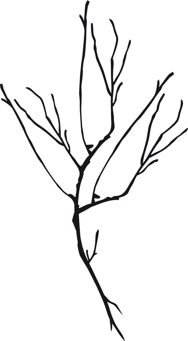Wall Clipart (632x1144), Png Download