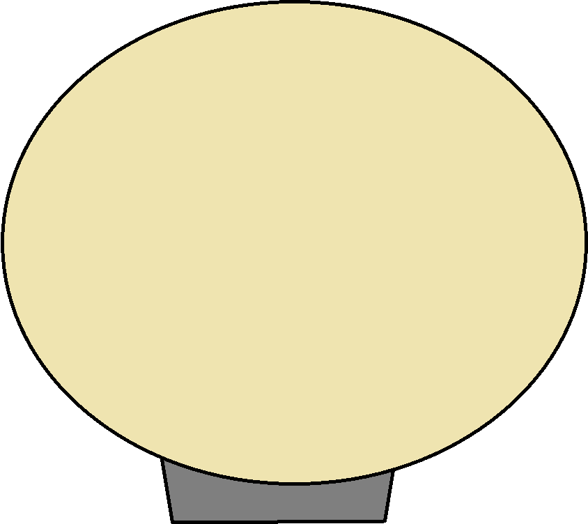 Flashlight Source Front - Circle Clipart (844x752), Png Download