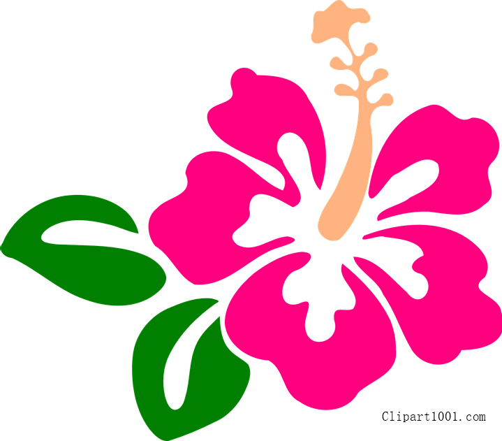 Download - Hibiscus Clip Art - Png Download (719x631), Png Download