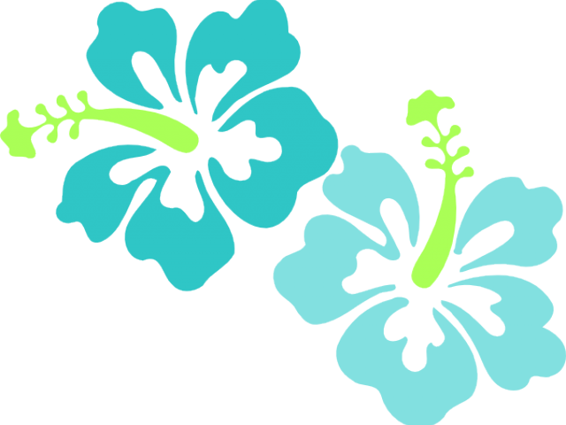 Tropics Clipart Teal Flower - Flowers Of Hawaii Png Transparent Png (640x480), Png Download