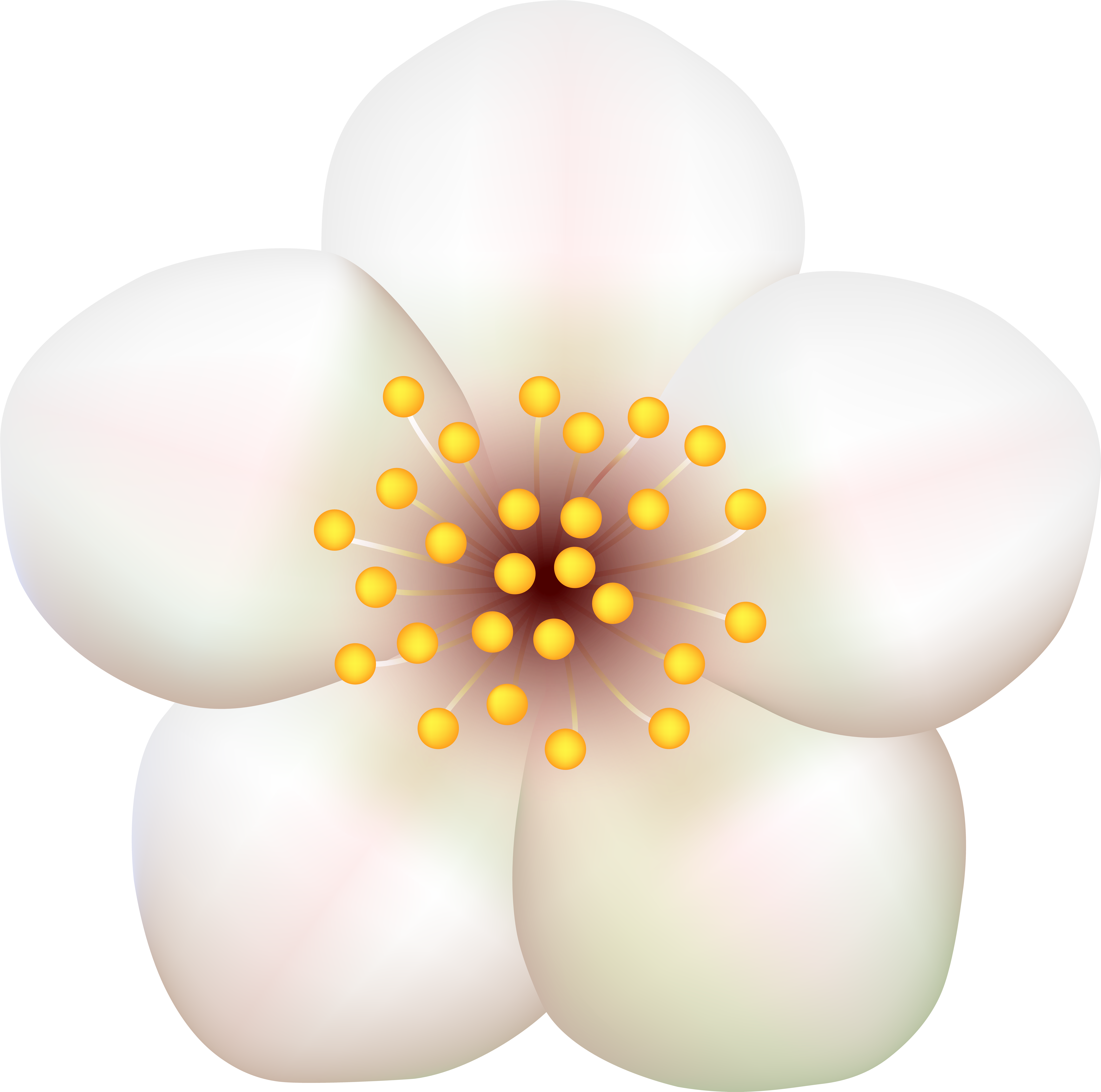 Spring Flowers Clip Art - Png Download (8000x7934), Png Download