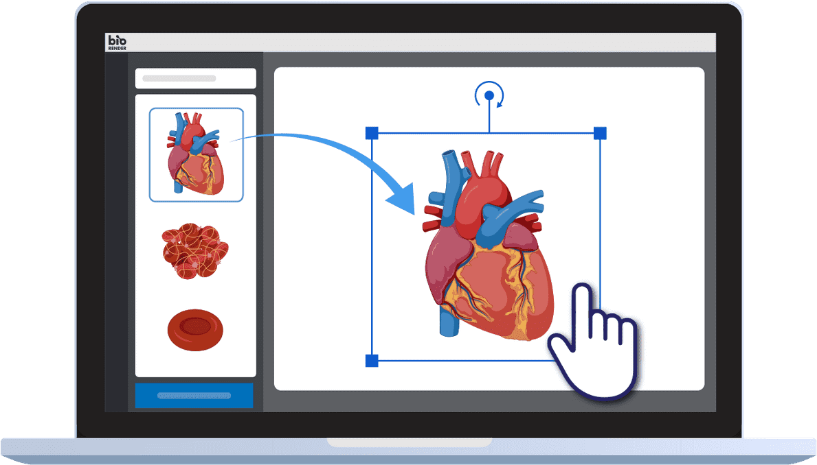 Drag And Drop Science Icons To Create Science Figures - Slam Dunk Clipart (1200x1015), Png Download