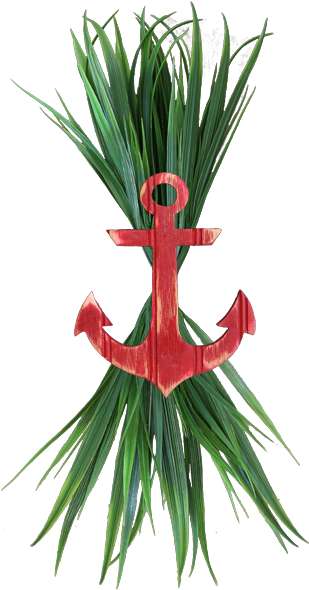 Sea Grass Clipart Grass Root - Heliconia - Png Download (600x600), Png Download