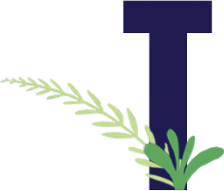 Sea Grass Clipart Damo - Cross - Png Download (640x480), Png Download