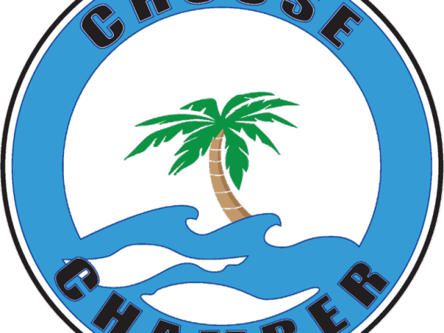 Reef Clipart Sea Grass - Png Download (640x480), Png Download