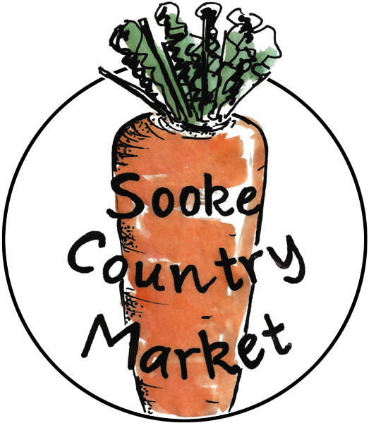 Carrot Clipart (523x600), Png Download