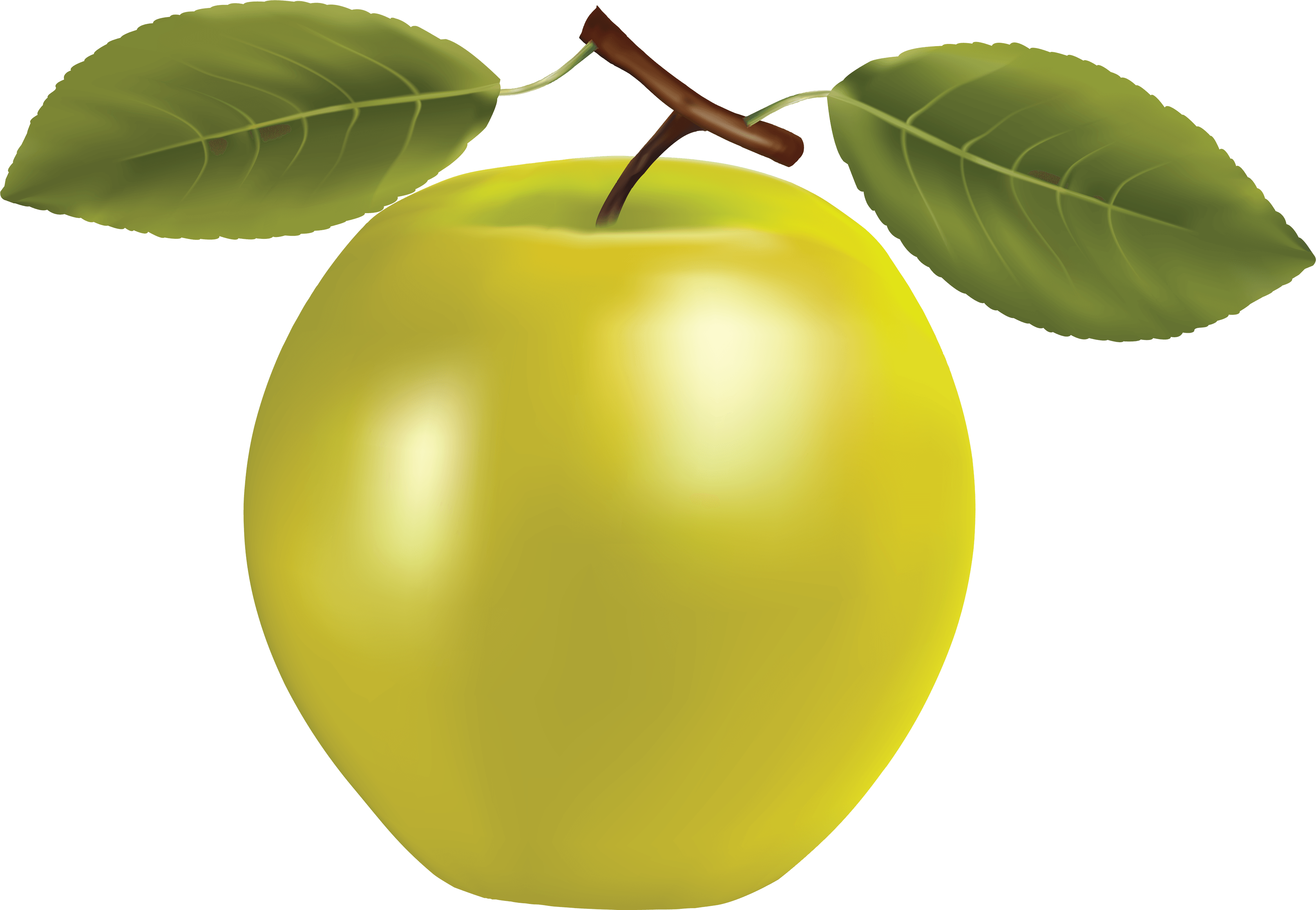 Yellow Apple Png Clipart (3478x2404), Png Download