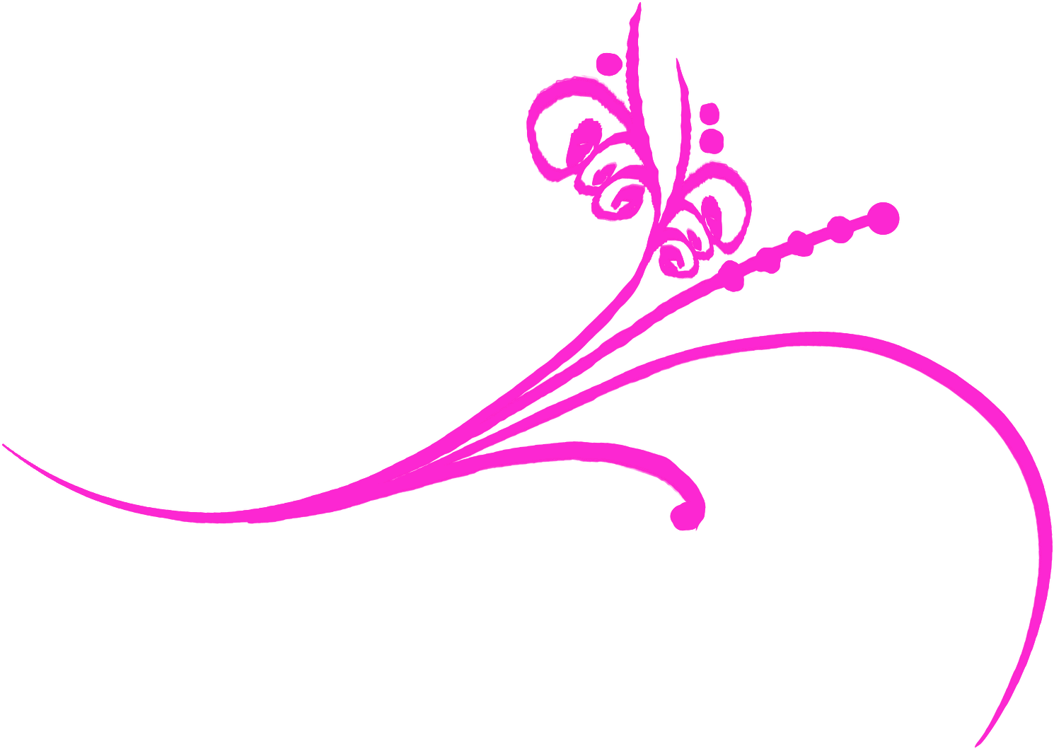 Pink Flourish Png Clipart (1600x1175), Png Download