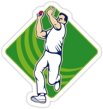 Product Details - Cricket Clipart (1024x500), Png Download