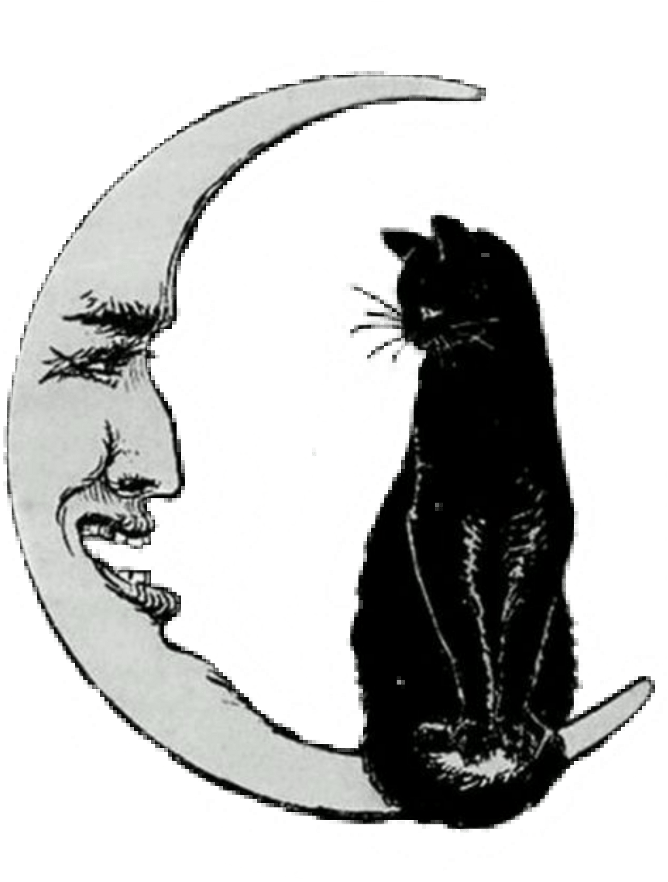 Cat On The Moon Clipart (1024x1024), Png Download