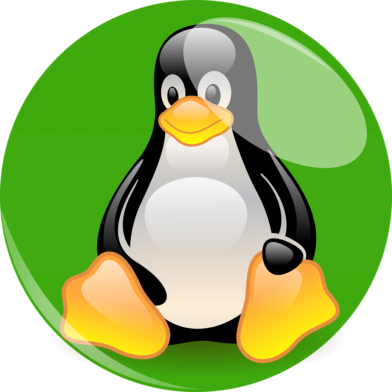 When Selecting A Linux Server Operating System Also - Redhat Penguin Clipart (1280x1280), Png Download