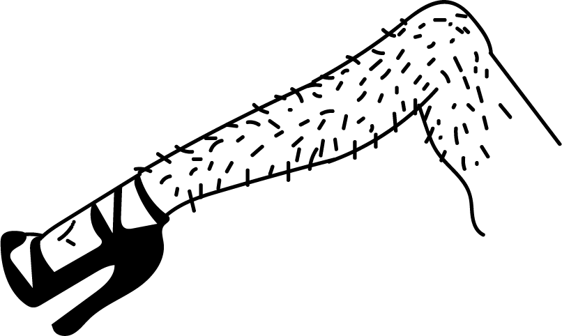 806 X 482 5 Clipart (806x482), Png Download