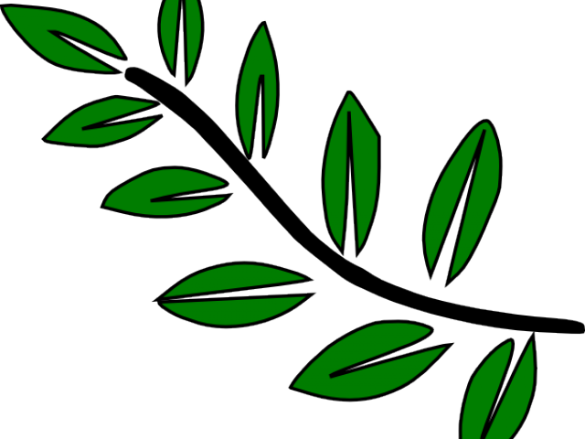 Leaves Clipart Cartoon - Leaf Branch Clip Art - Png Download (640x480), Png Download
