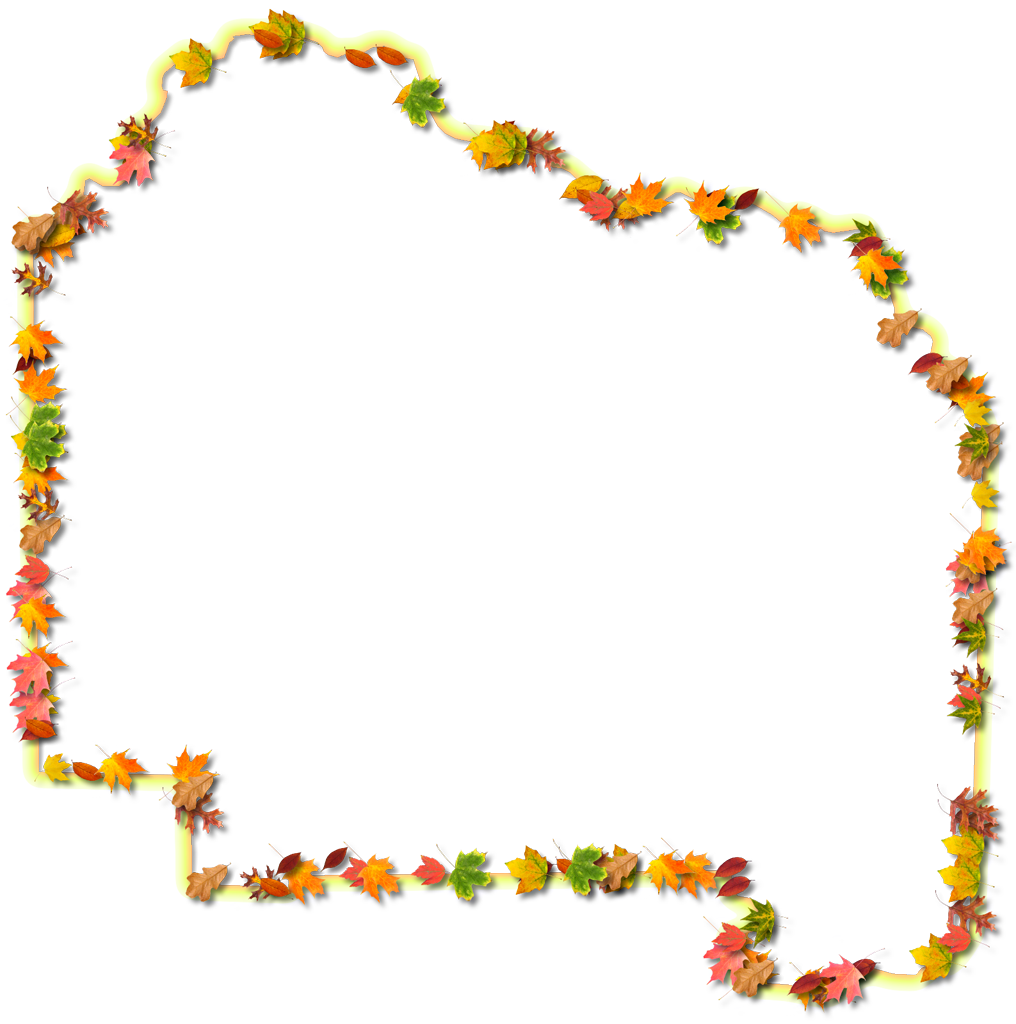 A Yellow And Orange Outline Map Of Alachua With Fall - Floral Design Clipart (1016x1024), Png Download