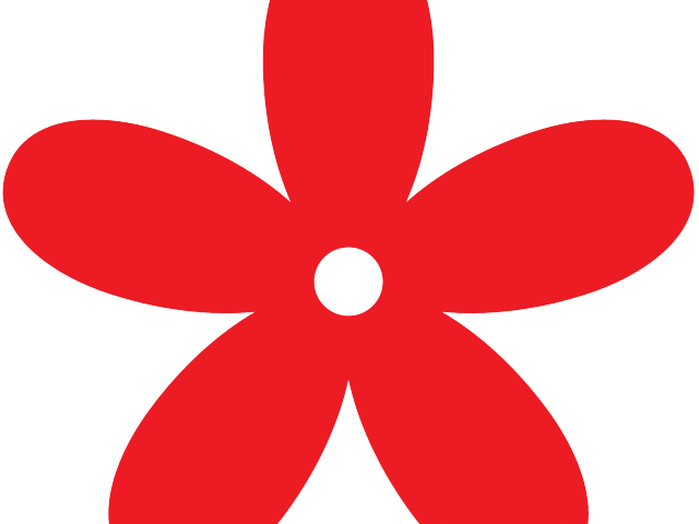 Flowers Color Clipart Small Flower - Flower - Png Download (640x480), Png Download