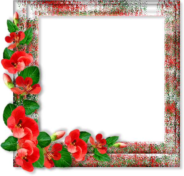 İndir - Picture Frame Clipart (650x650), Png Download