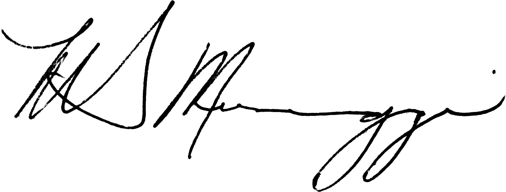 Mgm Signature - Director Signature Png Clipart (1777x680), Png Download