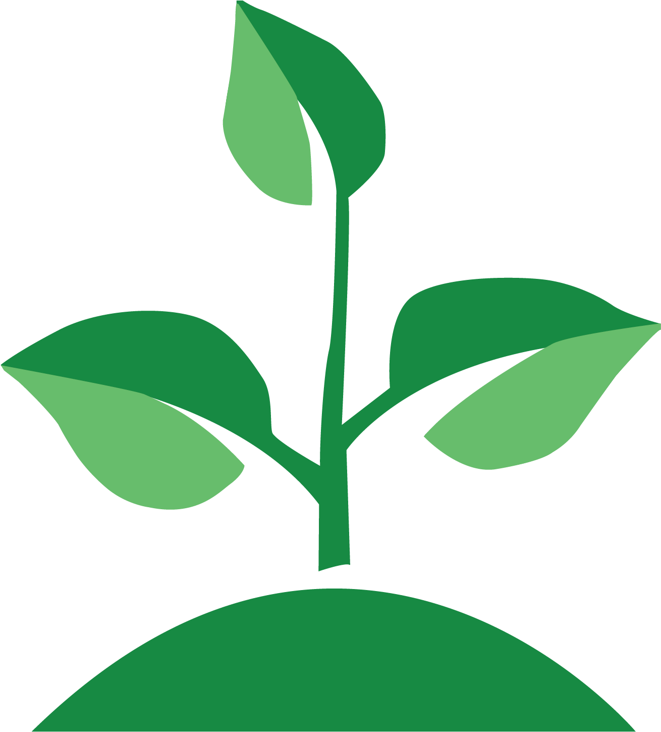 Growth - Illustration Clipart (1587x1449), Png Download