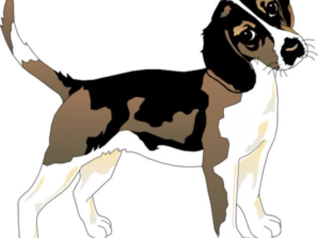 Beagle Clipart Sad Dog - Sombras De Animais - Png Download (640x480), Png Download