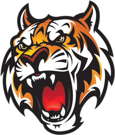 Tiger Head Png - Fleetwood High School Mascot Clipart (600x600), Png Download