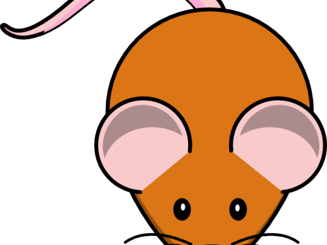 Footprints Clipart Rat - Cute Mice Coloring Pages - Png Download (640x480), Png Download