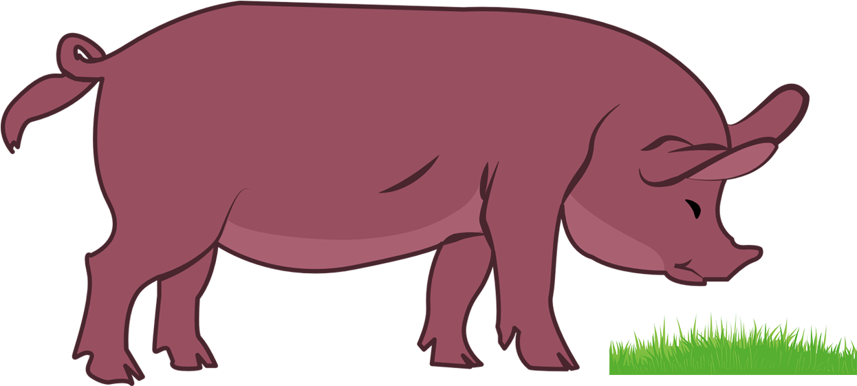 Pig Png-clipart Vector Transparent Image - Livestock (1998x1746), Png Download