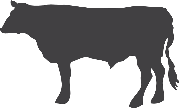 Hästkött Fint Professional Secrets Png Fence Png Transparent - Dairy Cow Clipart (772x526), Png Download