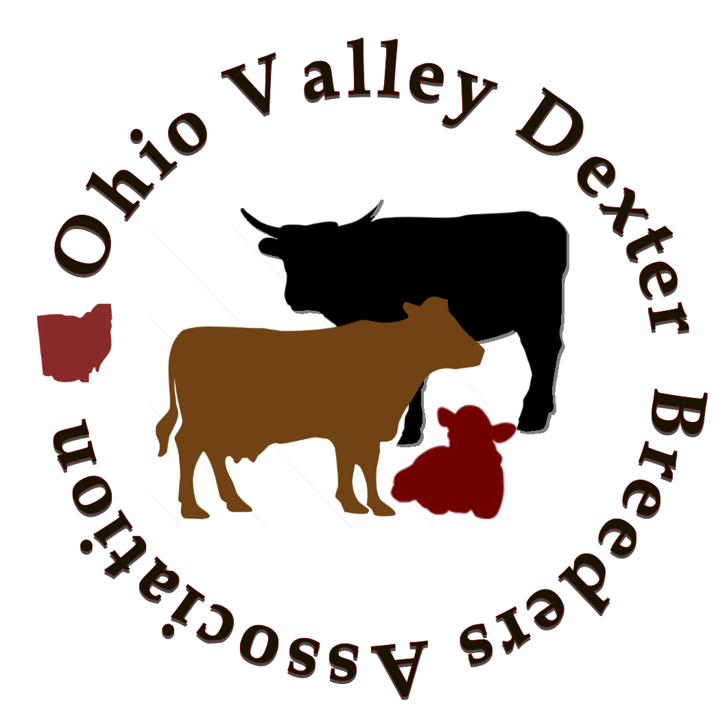 S675599261982770903 P10 I1 W1060 - Dairy Cow Clipart (1060x1048), Png Download