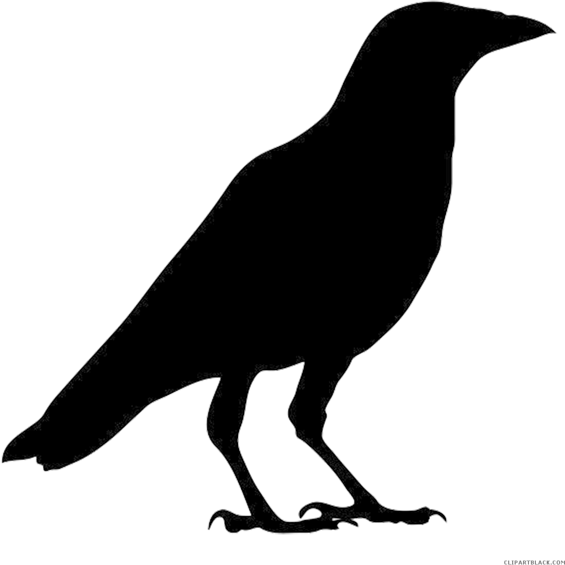 Clip Art Royalty Free Library Page Of Clipartblack - Outline Images Of Crow - Png Download (1169x1185), Png Download