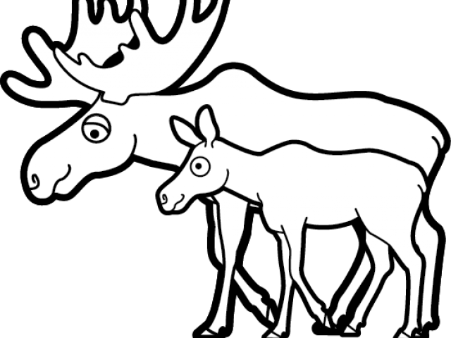 Moose Clipart Transparent Background - Moose Black And White Clipart - Png Download (640x480), Png Download