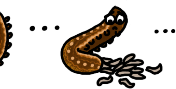 Wasp Clipart Parasitic - Png Download (640x480), Png Download