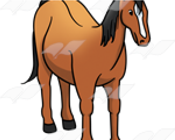 Horse Clipart Nose - Cartoon - Png Download (640x480), Png Download