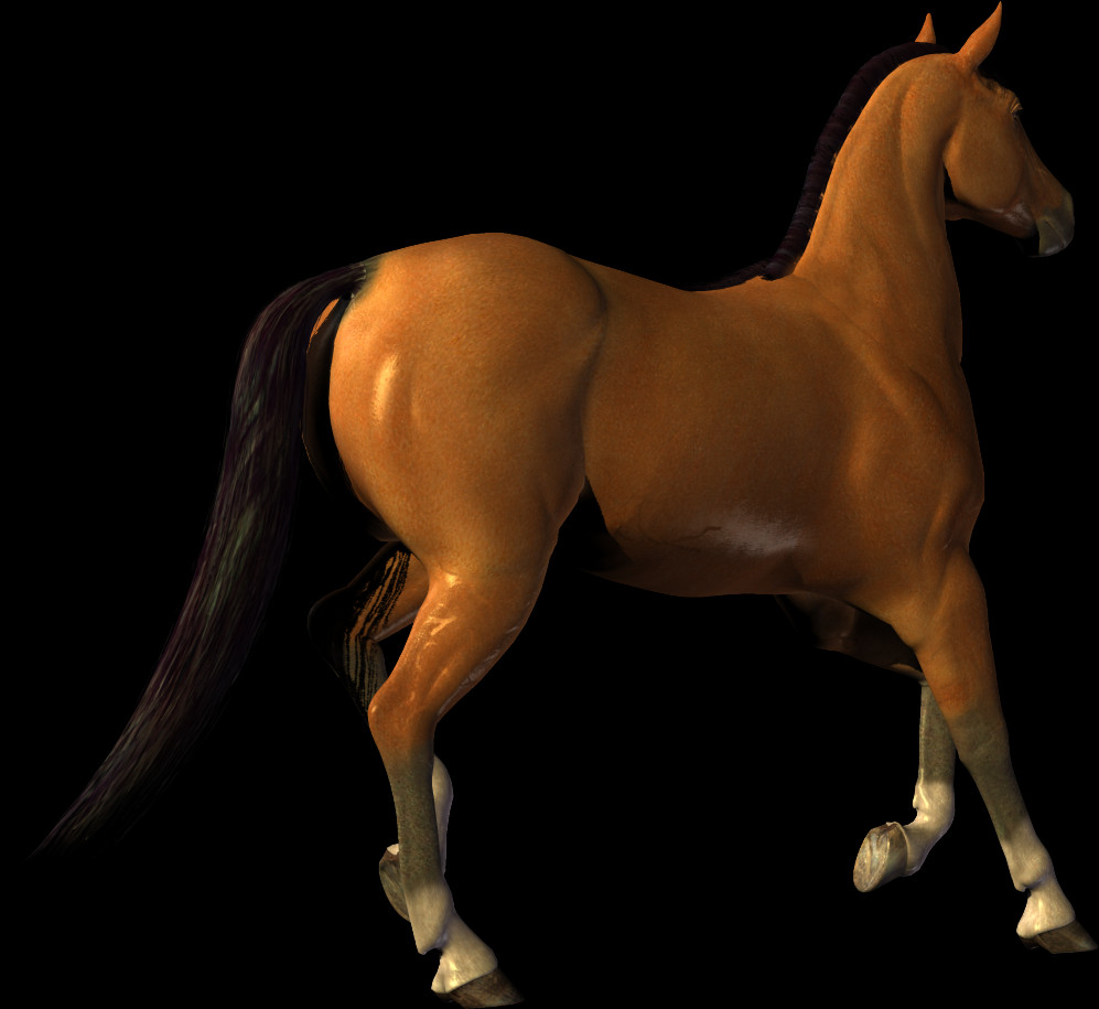 Free Horse Png Images - Stallion Clipart (997x915), Png Download