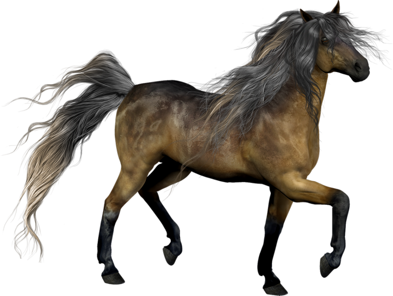 رسم حصان ثلاثي الابعاد Clipart (800x603), Png Download