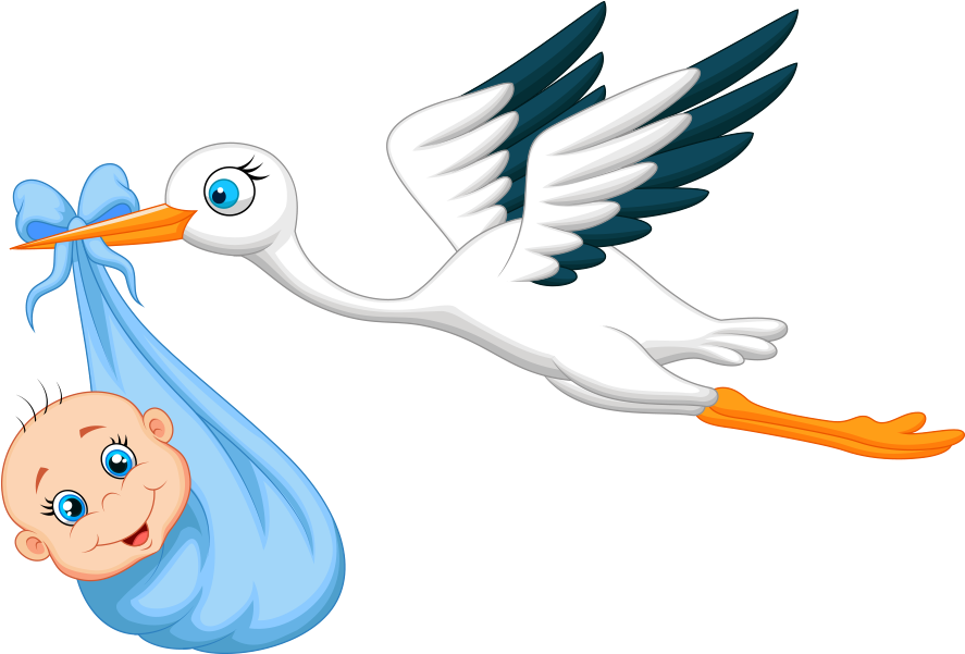 Cegonha Carregando Bebe Clipart (898x600), Png Download