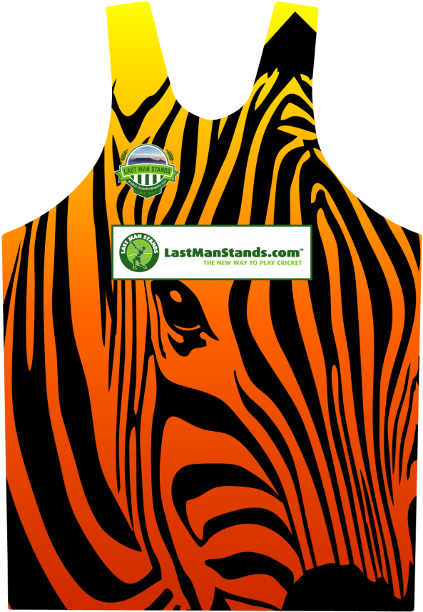 Cloud Zoom Small Image - Zebra Art Clipart (900x1000), Png Download