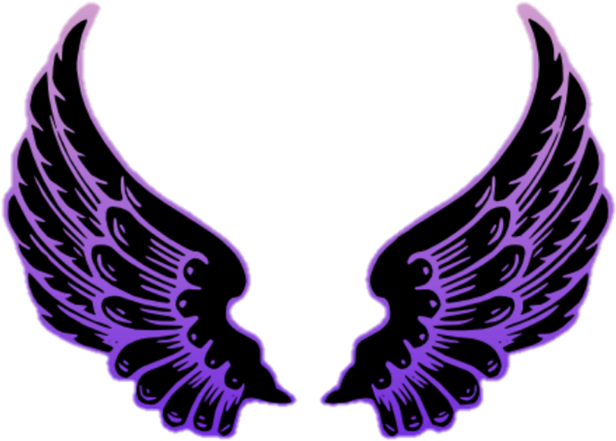 Angelwings Sticker - White Angel Wing Clipart - Png Download (1024x690), Png Download
