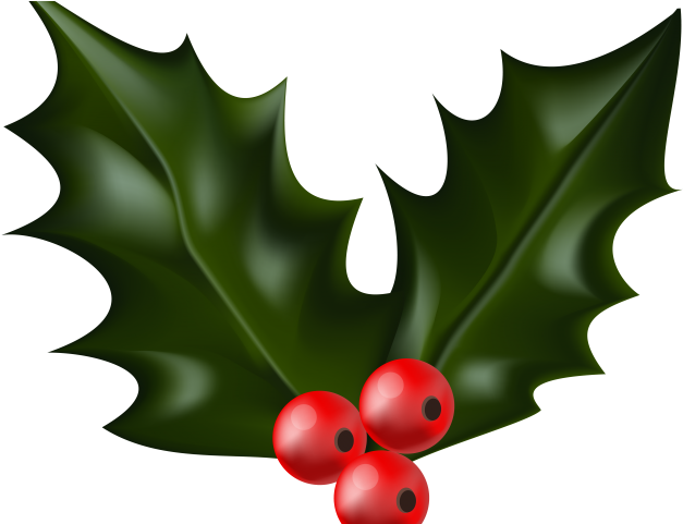 Christmas Clipart Holly - Holly Clip Art Png Transparent Png (640x480), Png Download